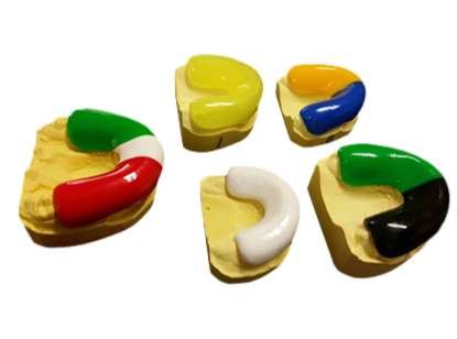 maharjan local denture